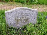 image of grave number 719759